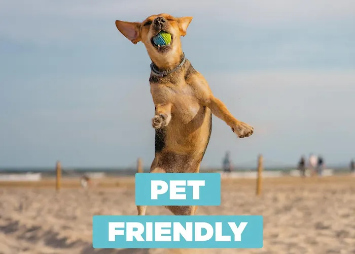 On The 107 Apartment